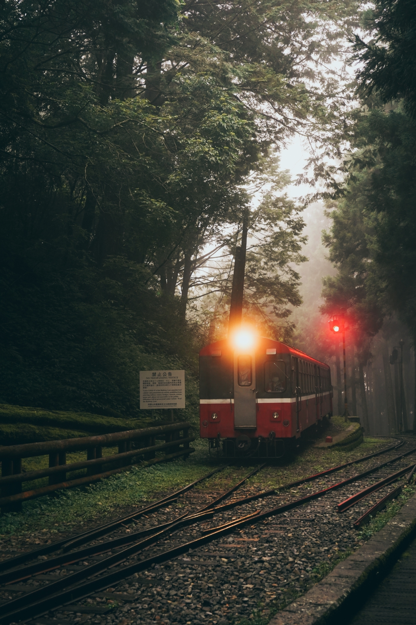 林駿騰「逐路十八」系列作品之一，阿里山森林鐵路小火車，在清晨中緩緩駛過林間。