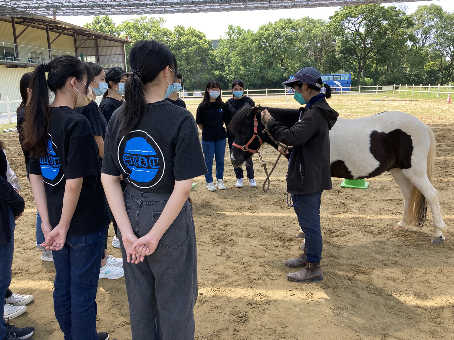 圖為亞大物治系同學參訪馬場，學習如何「領馬」