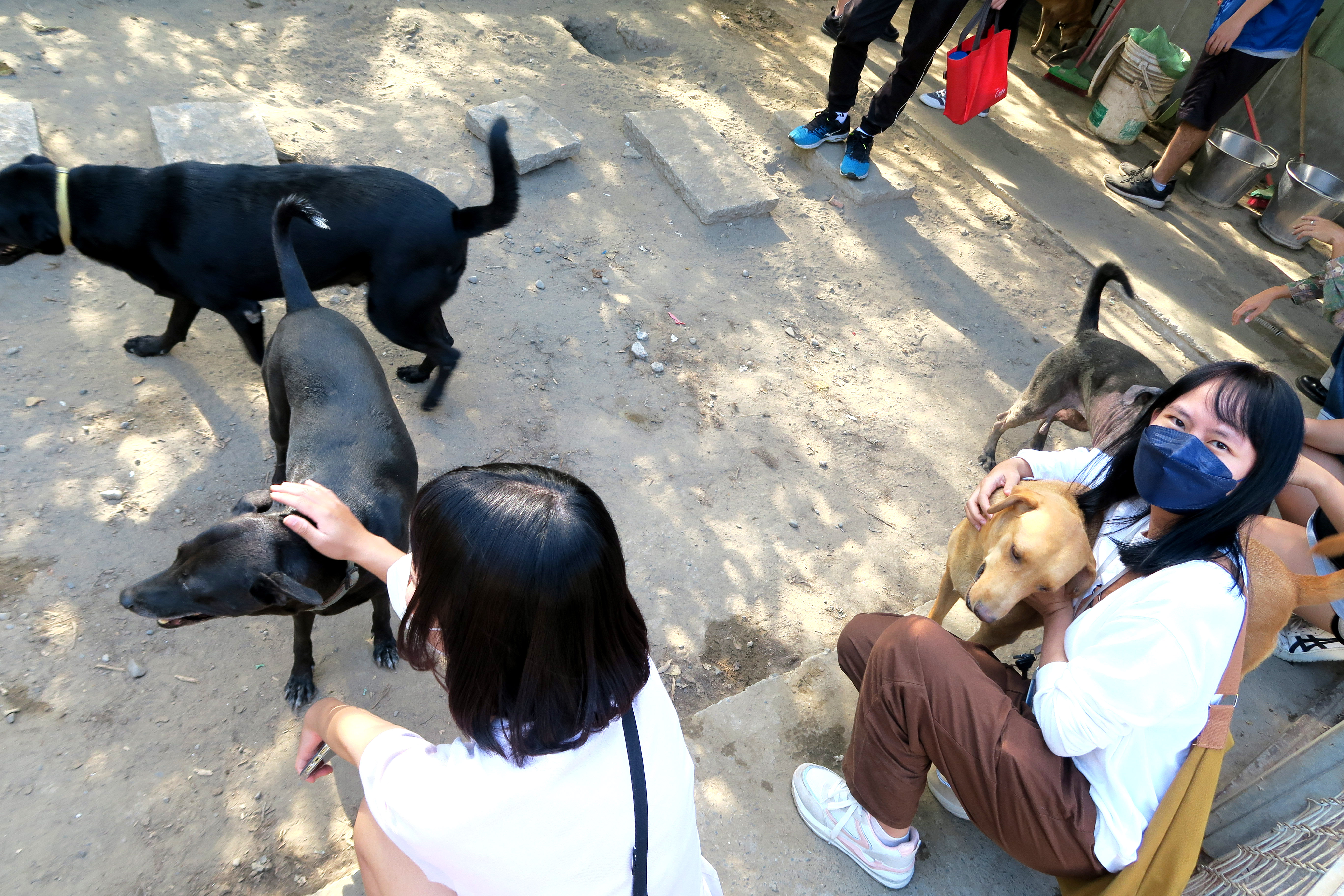 圖為亞大商設系同學參訪「狗狗山」，與狗狗們互動接觸。