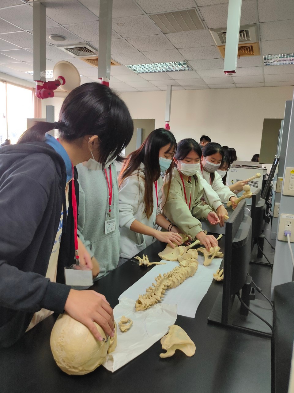 圖為參加營隊高中生,發揮小組團隊合作力,運用所學拼湊人體200多根散骨。