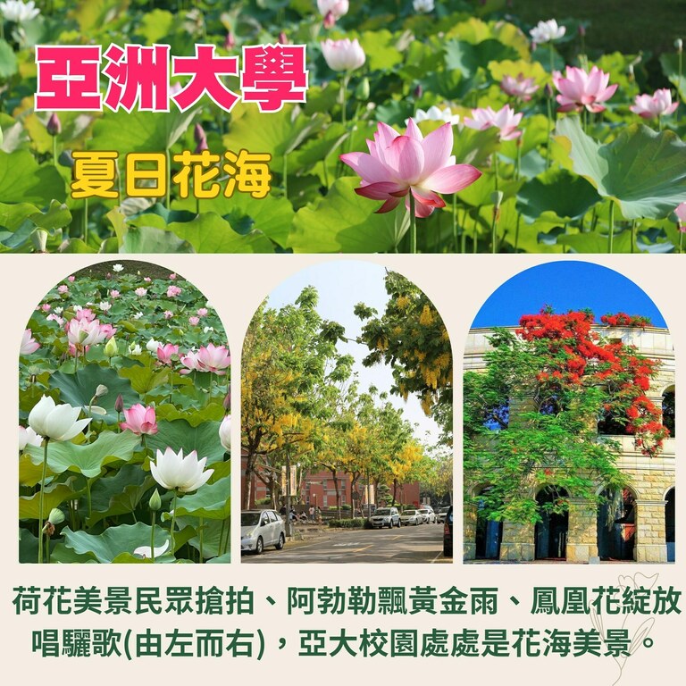 亞洲大學 夏日花海 亞洲大學 夏日花海