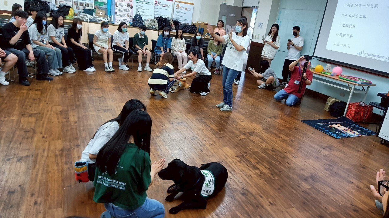 在亞大職治系動物輔助治療課程中,同學學習與治療犬相處。