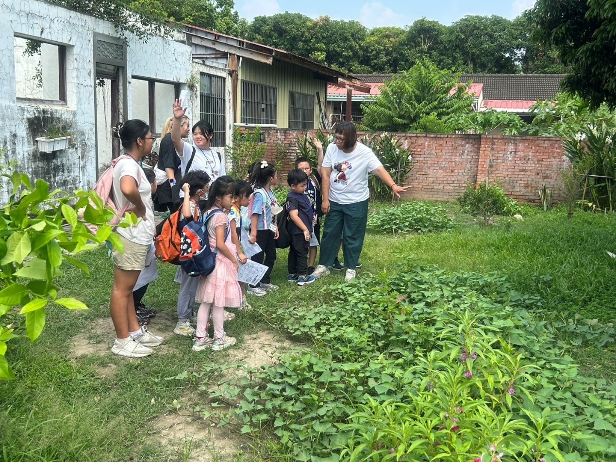 小朋友在亚大国际NGO中心友善耕作菜园中，体验食农教育。