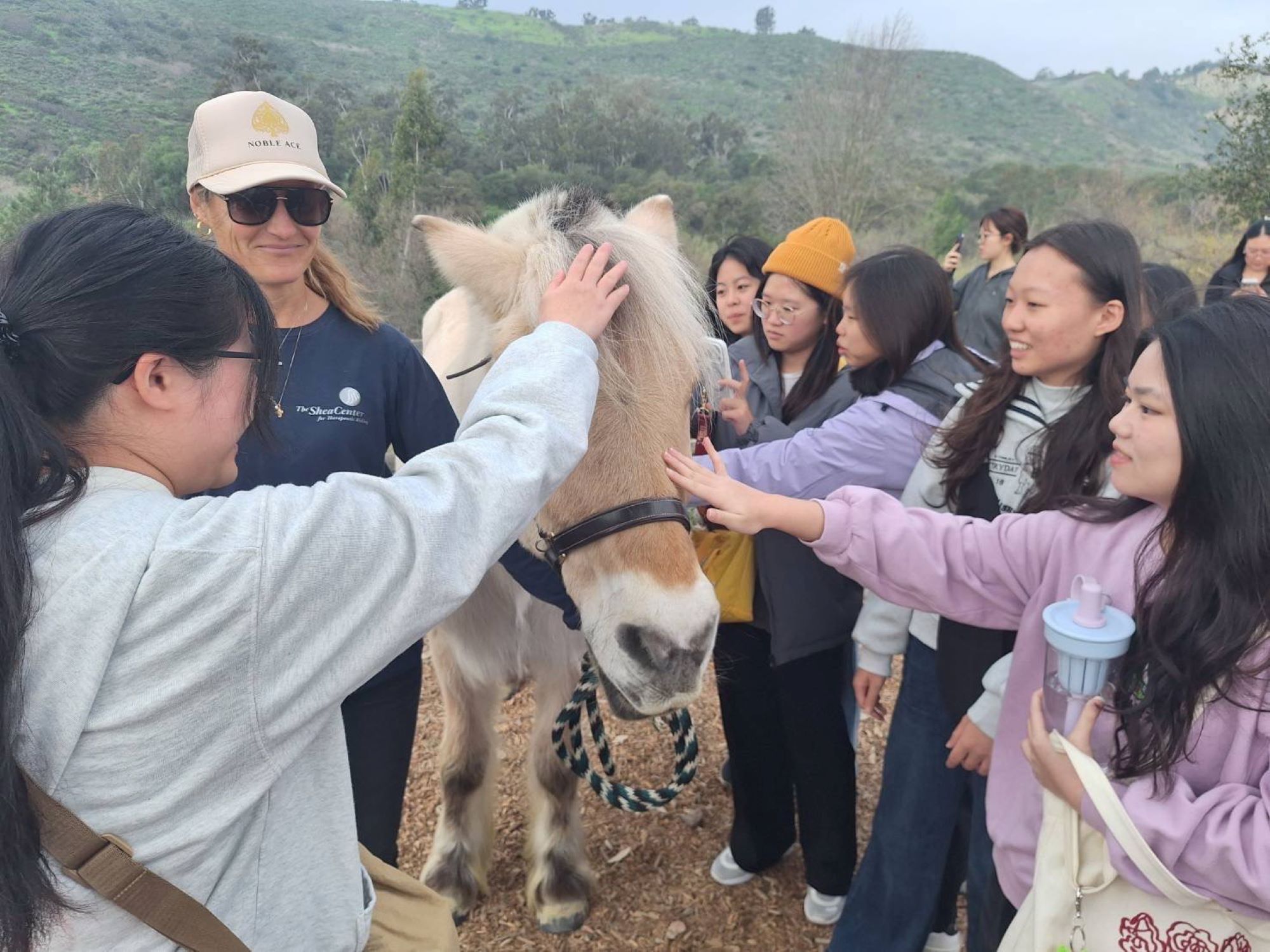 學生與療癒馬匹近距離溫馨互動,體會動物介入治療的溫暖力量。