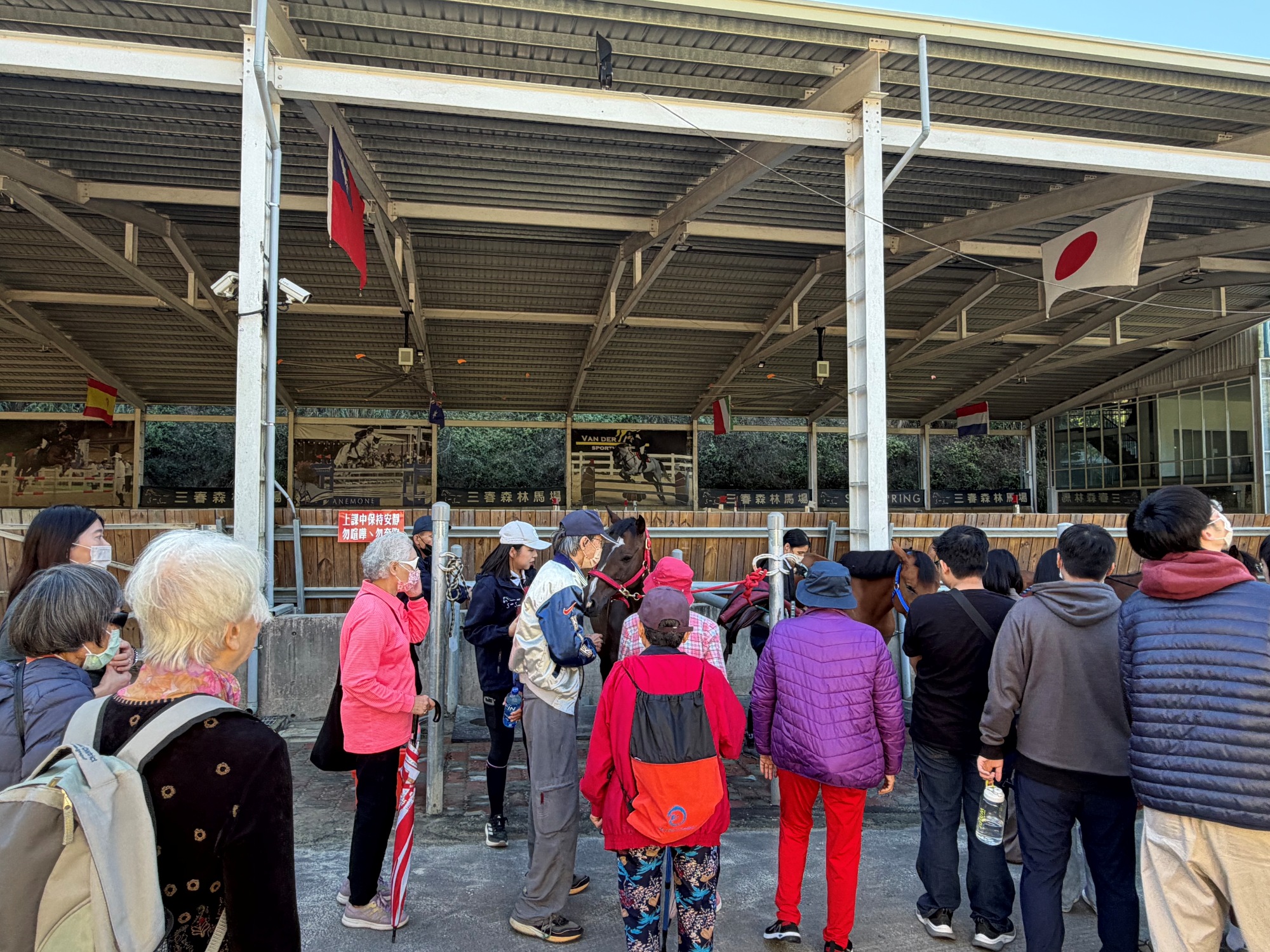 三系學生陪伴長輩與療育馬近距離互動，實踐跨領域服務與關懷精神。
