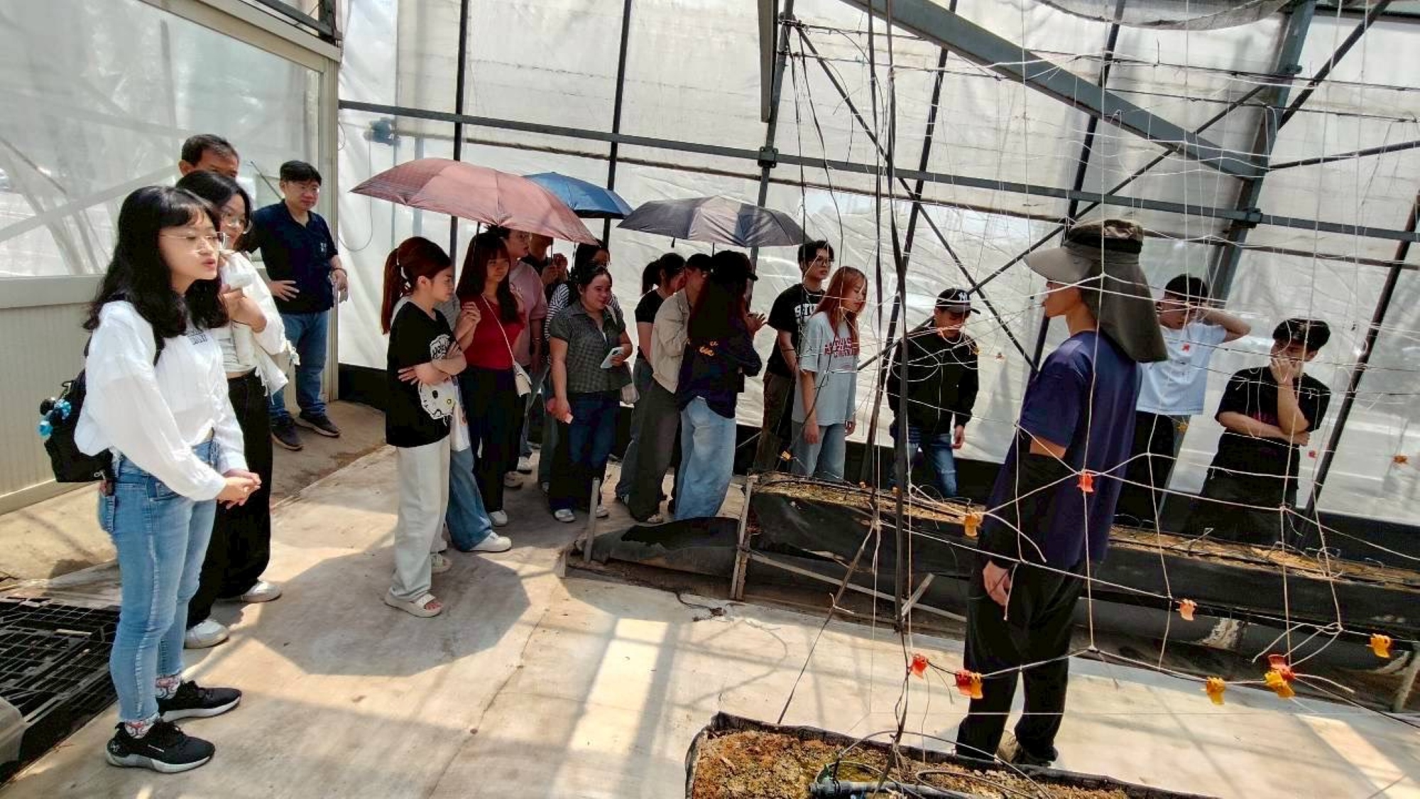 Yumei Biotech on-site personnel introducing the agricultural biotech site and smart agriculture applications, allowing students to observe the crop cultivation process firsthand